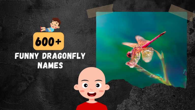 600+ Funny & Cute Dragonfly Names | List OF Good Naming Ideas.