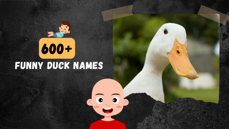 600+ Funny Duck names For Your Quack Quack Cute & Silly Pet!