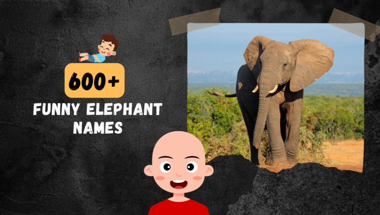 600+ Funny & Cute Elephant names in 2024 (Trunkload Of Water)