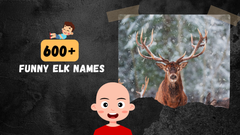 600+ Funny Elk Names that’ll make you LOL!