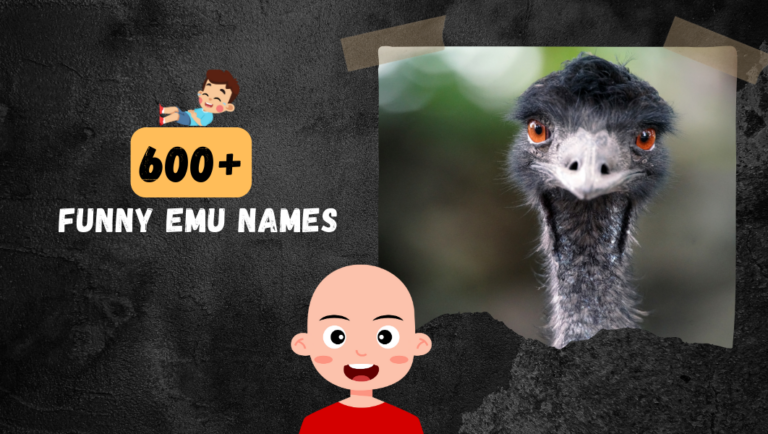 600+ Funny & Awesmoe Emu Names (Clever Ideas)