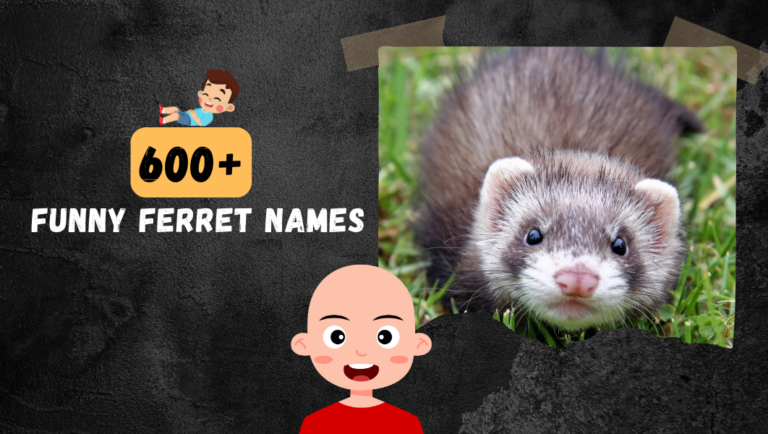 600+ Funny Ferret Names That Will Make You LOL