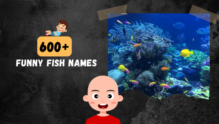 600+ Funny Fish Name (Swim into Laughter)