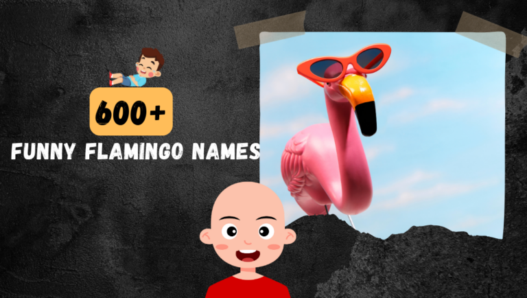 600+ Funny Flamingo Names (Peacful Birds Name Ideas)