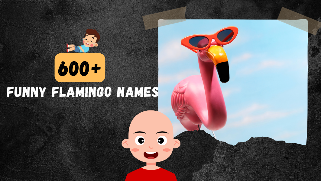 Funny Flamingo names