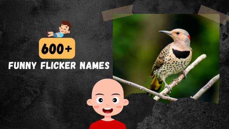 600+ Funny Flicker Names