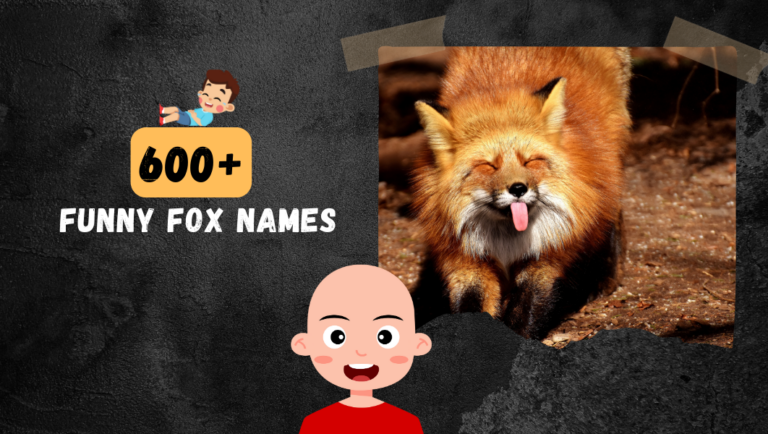 600+ Funny Fox and Foxy Names that’ll make your day!