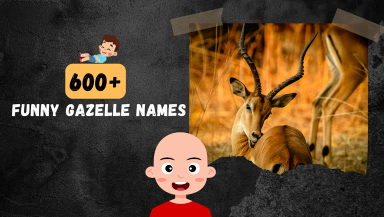 600+ Funny Gazelle Name Ideas to Make You Laugh