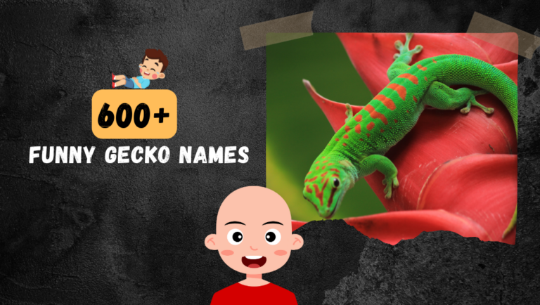 600+ Funny Gecko Name (Badass, Cute, Clever and Famous)