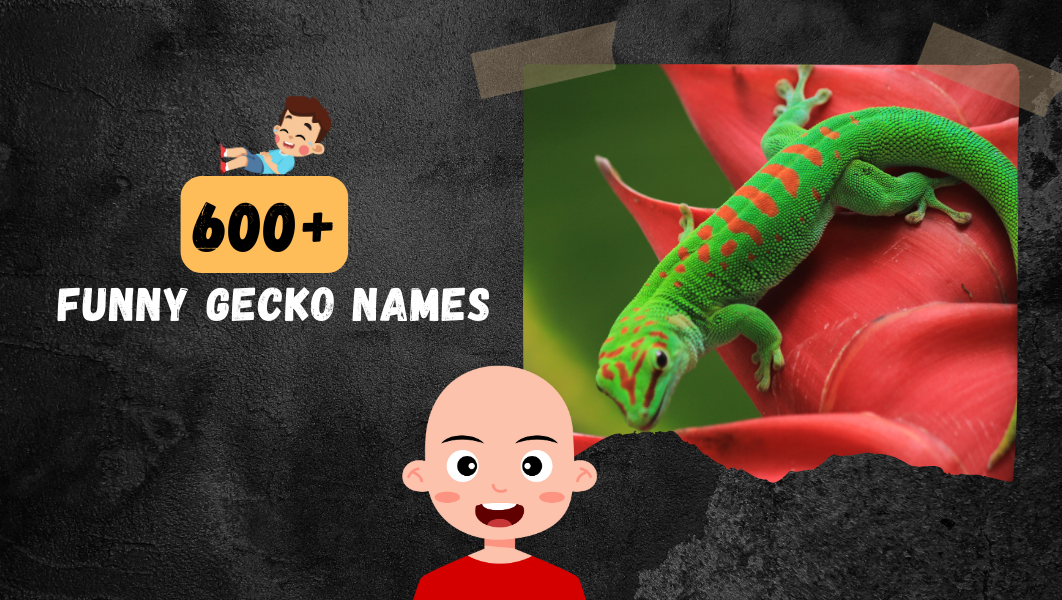 Funny Gecko names