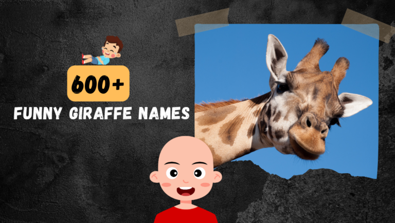 600+ Funny Giraffe Names: Boy, Girl, Famous, Unique, and Cute Options