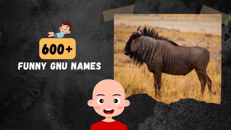 600+ Funny Gnu names[Clever & Crazy Ideas]