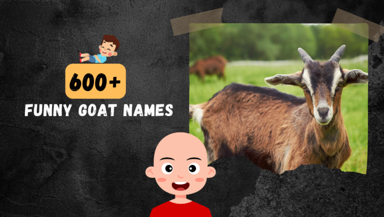 600+ Hilariously Funny Goat Names: Unique, Punny and Clever Ideas