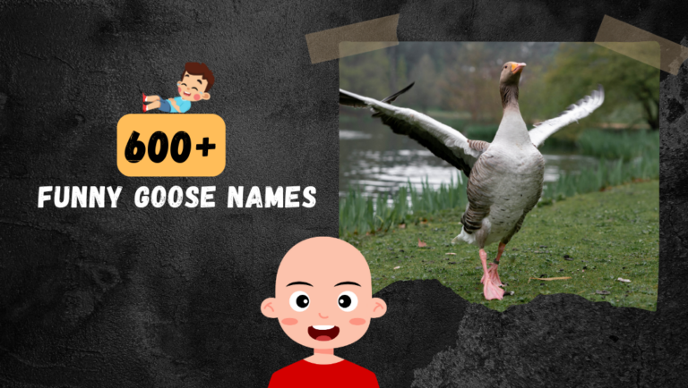 600+ Funny Goose names That are (Famous, Cool and Pun).