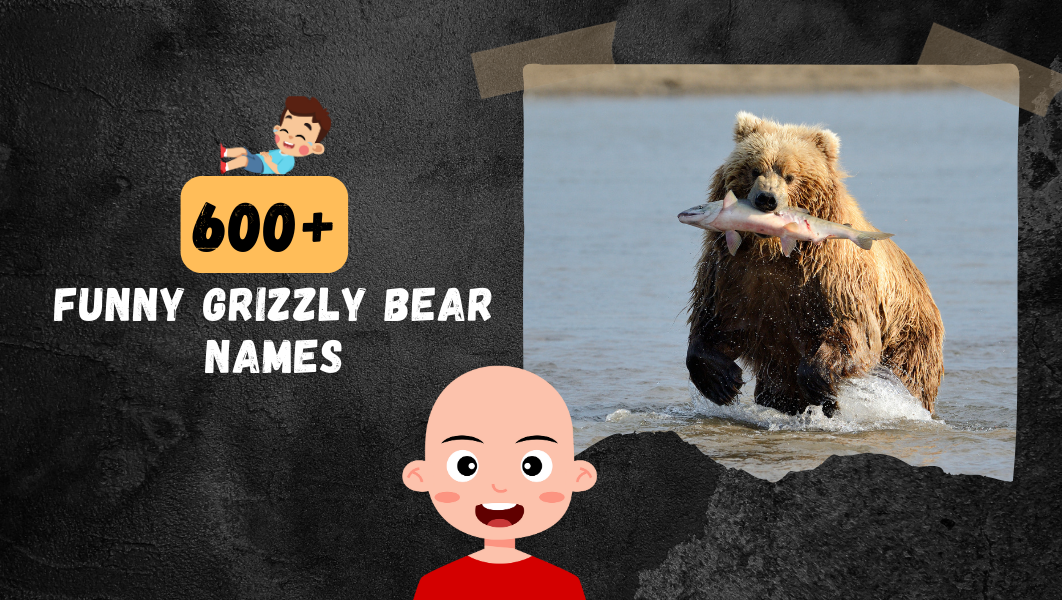 Funny Grizzly bear names