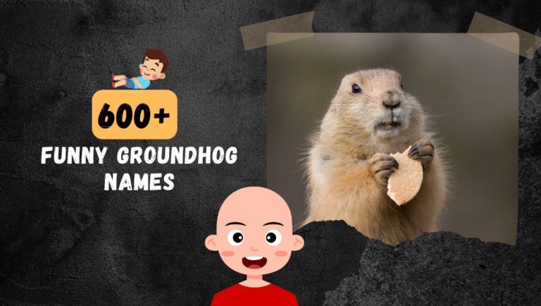 600+ Male Female Groundhog Names (Funny, Clever & Unique)