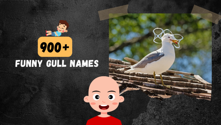 900+ Funny Gull Names