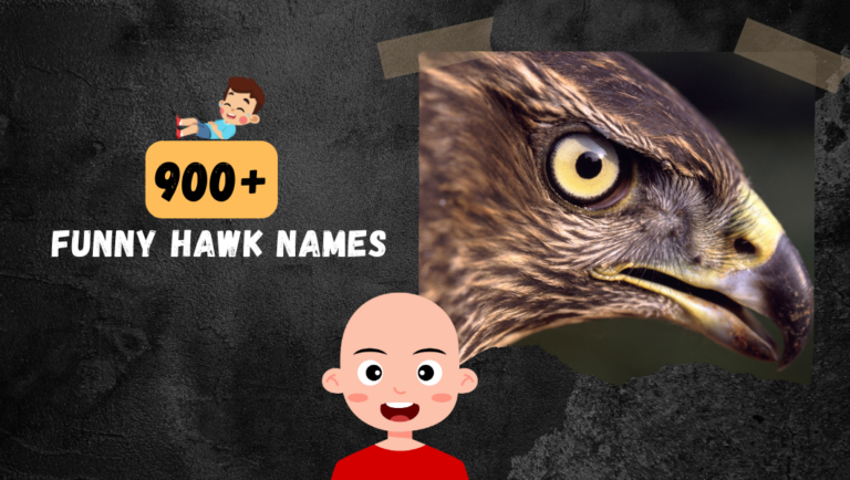 Fly High with Laughter: 900+ Funny Names for Your Hawk