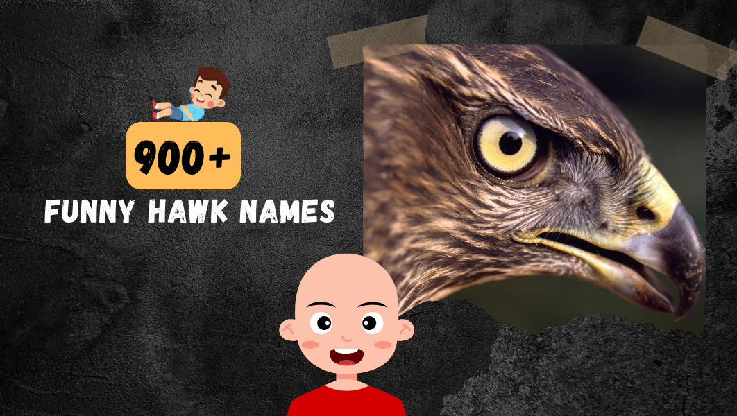 Funny Hawk names