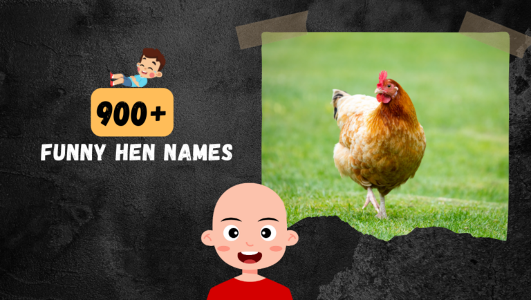 900+ Funny Hen Names For Your Female Cute Chicken