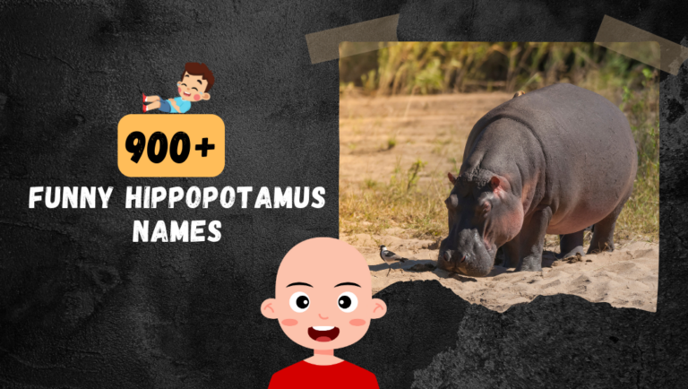 900+ Cool & Funny Hippopotamus names For Your pet Hippo!