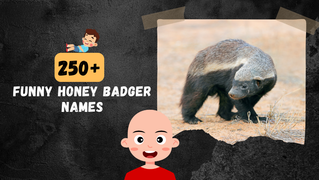 Funny Honey Badger names
