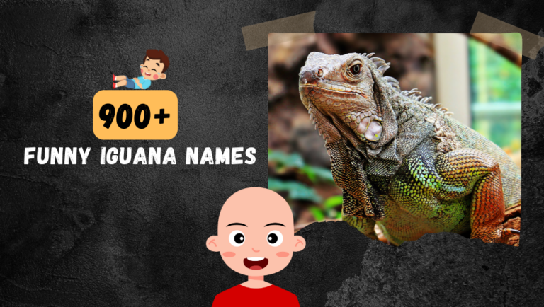 900+ Funny Iguana Names | Family Member Of Lizard & Gecko