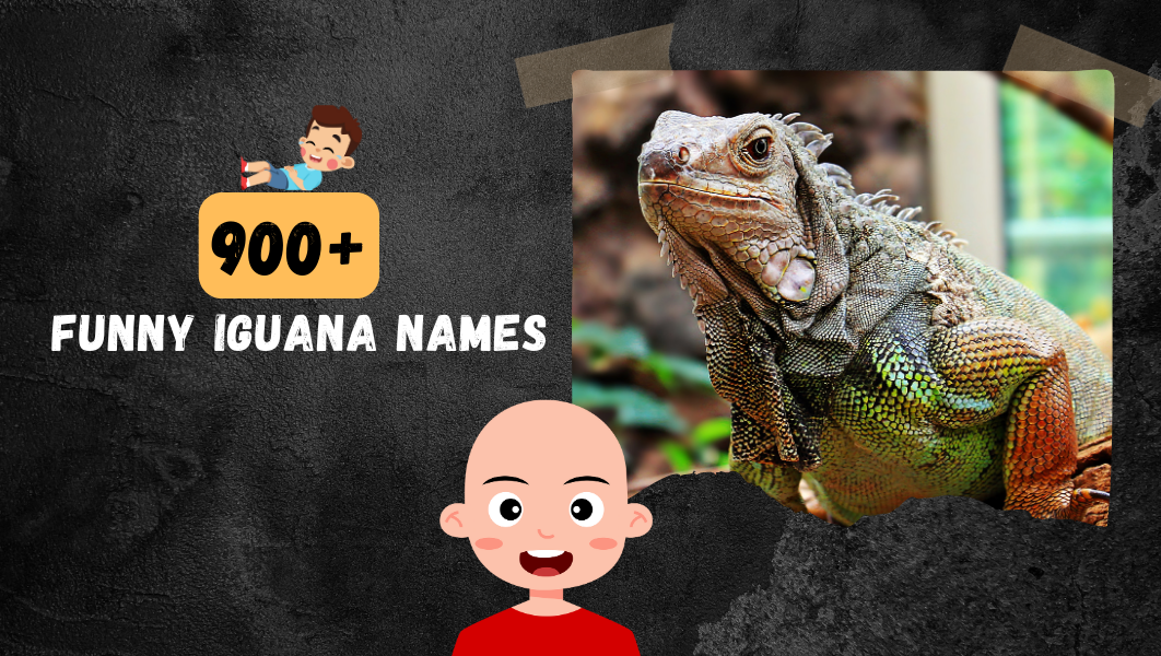Funny Iguana names
