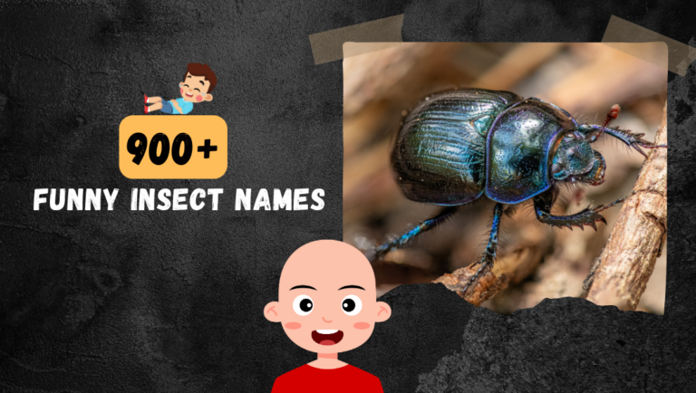 900+ Weird & Funny (Bug + Insects) Names Crazy Ideas.