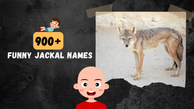 Best Jackal Names (Crazy & Funny Ideas) Over 900 to choos from!