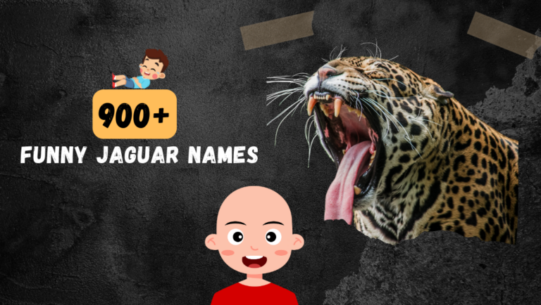 900+ Catchy & Funny Jaguar Names that’ll make you Smile and Say Meow