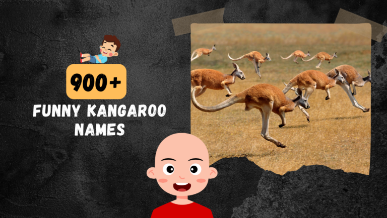 900+ Cute & Funny Kangaroo Names For Mother Father & Kids.