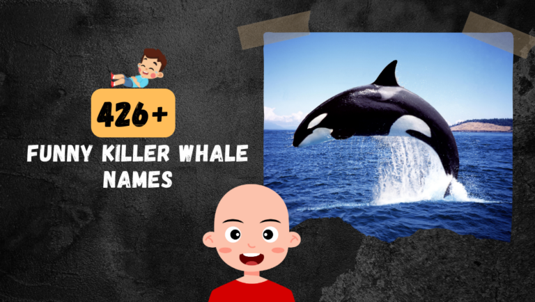 426+ Funny Killer Whale Names (Cool, Catchy & Strong Ideas).