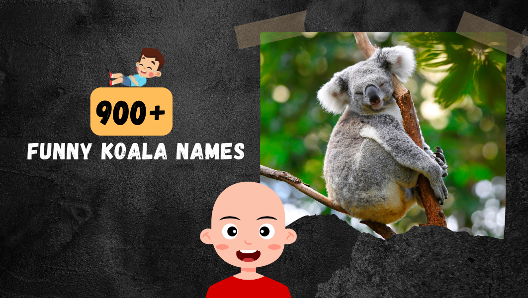Funny Koala names