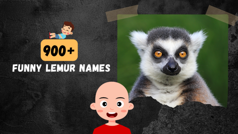 900+ Funny & Cool Lemur Names (Catchy Ideas)