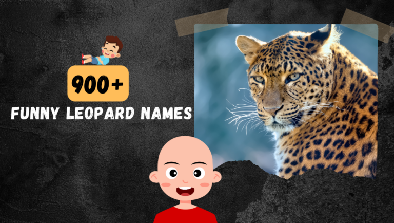 900+ Funny leaopards name (Cool, Catchy, Crazy & Famous Ideas)