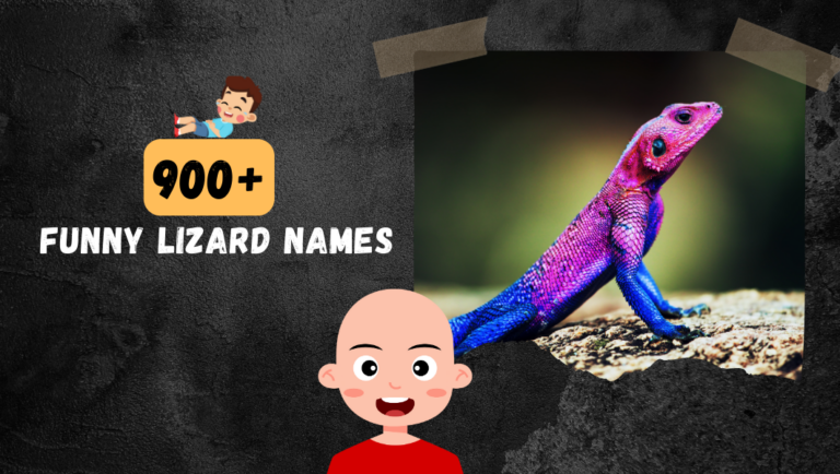 The Funniest Lizard Names – Over 900 to Choose From!