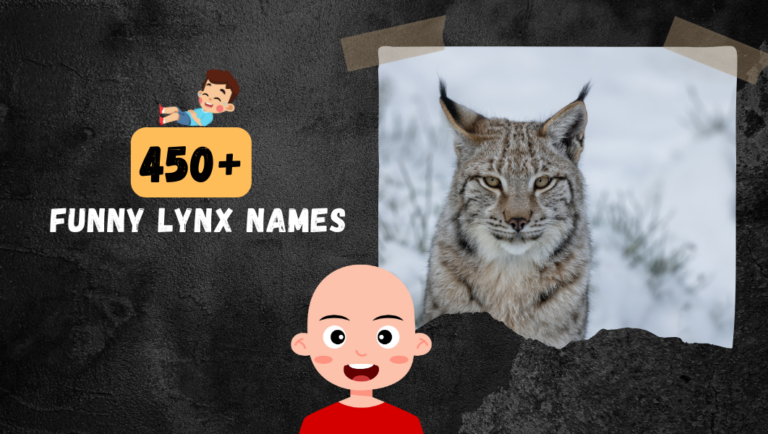 450+ Jaw-Dropping Cool & Funny Lynx Names