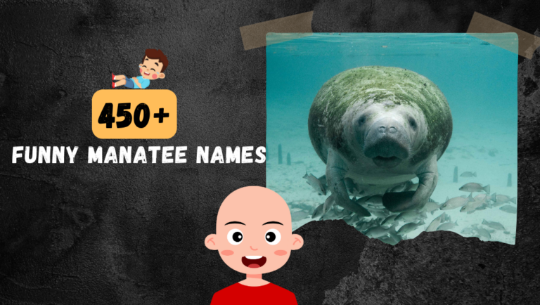 450+ Best & Funny Manatee Name Ideas For Male & Female