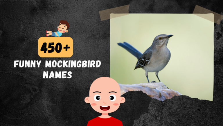 450+ Hilarious Mockingbird (Names to Choose From).