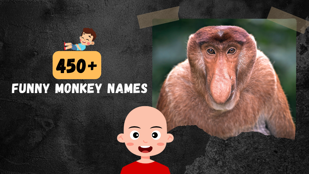 Funny Monkey names