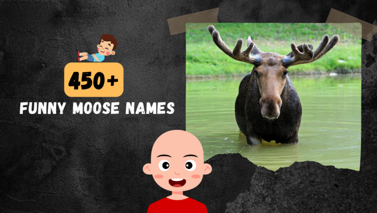 450+ Moose name: That are (cool, funny) and helps you laugh!