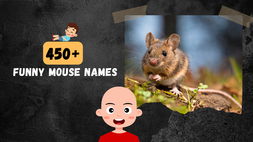 Funny Mouse names