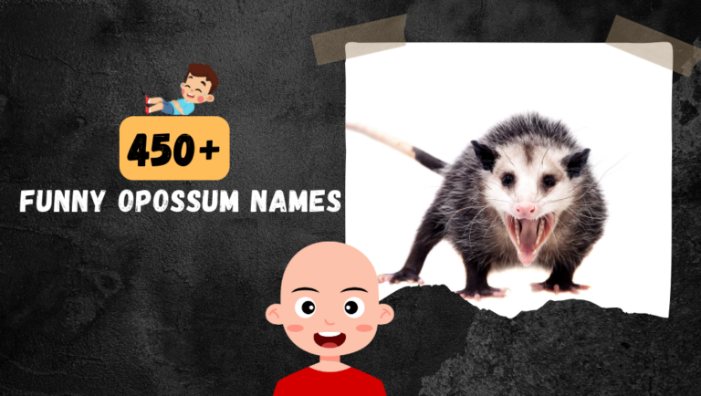 450+ Funny Opossum Names That Will Tickle Your Bone