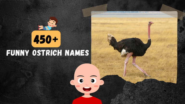 450+ Ostrich names: Funny Names For Your (Big, Cute, Speedy) Pet.