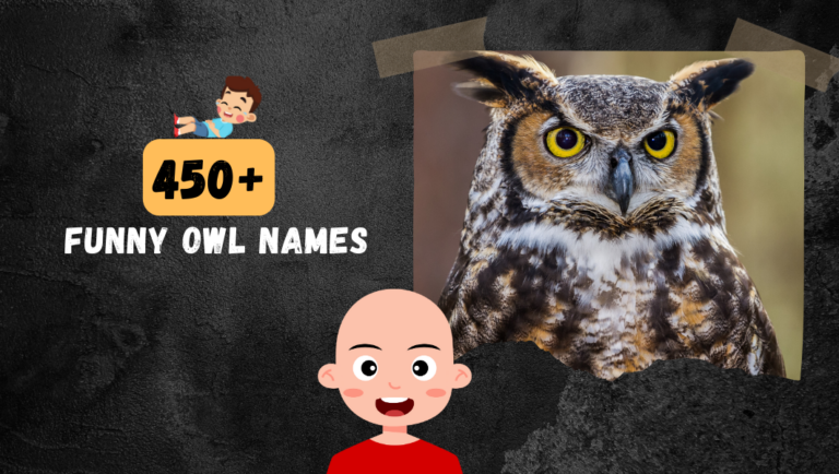 450 + Funny Owl Names for Your Feathered Friend