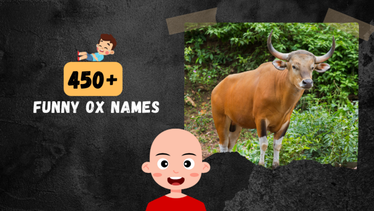 450+ OX Names [Unique, Crazy, Clever & Funny Ideas]