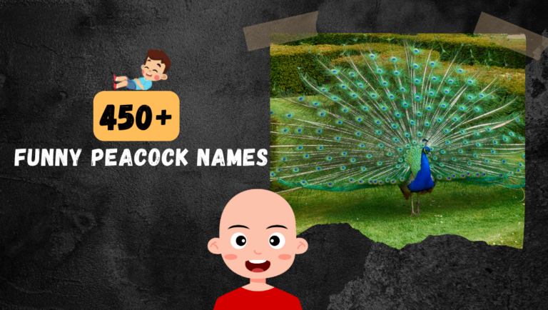 450+ Hilariously Funny Peacock Names 2024