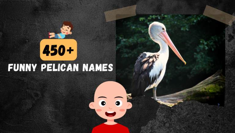 450+ Funny & Catchy Pelican Names you’ve ever heard.