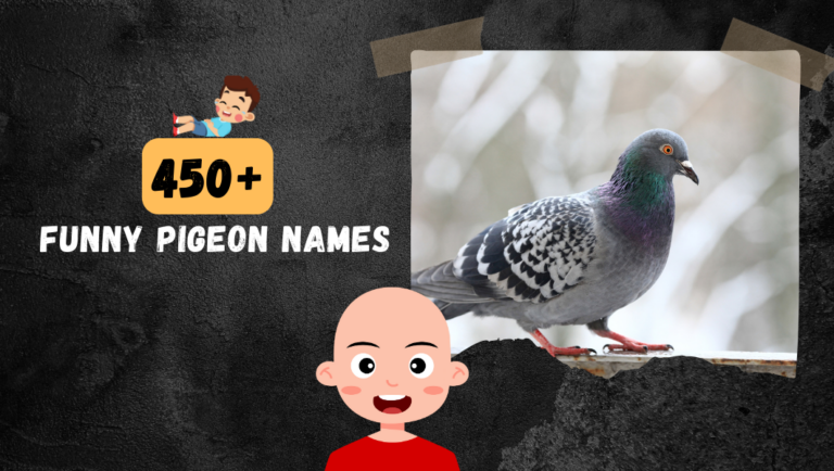 450+ Funny Pigeon Names to laugh until you back hurts Haha!